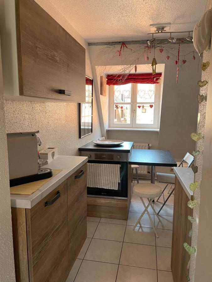 Aux Petits Coeurs De Colmar Petite Venise Daire Dış mekan fotoğraf