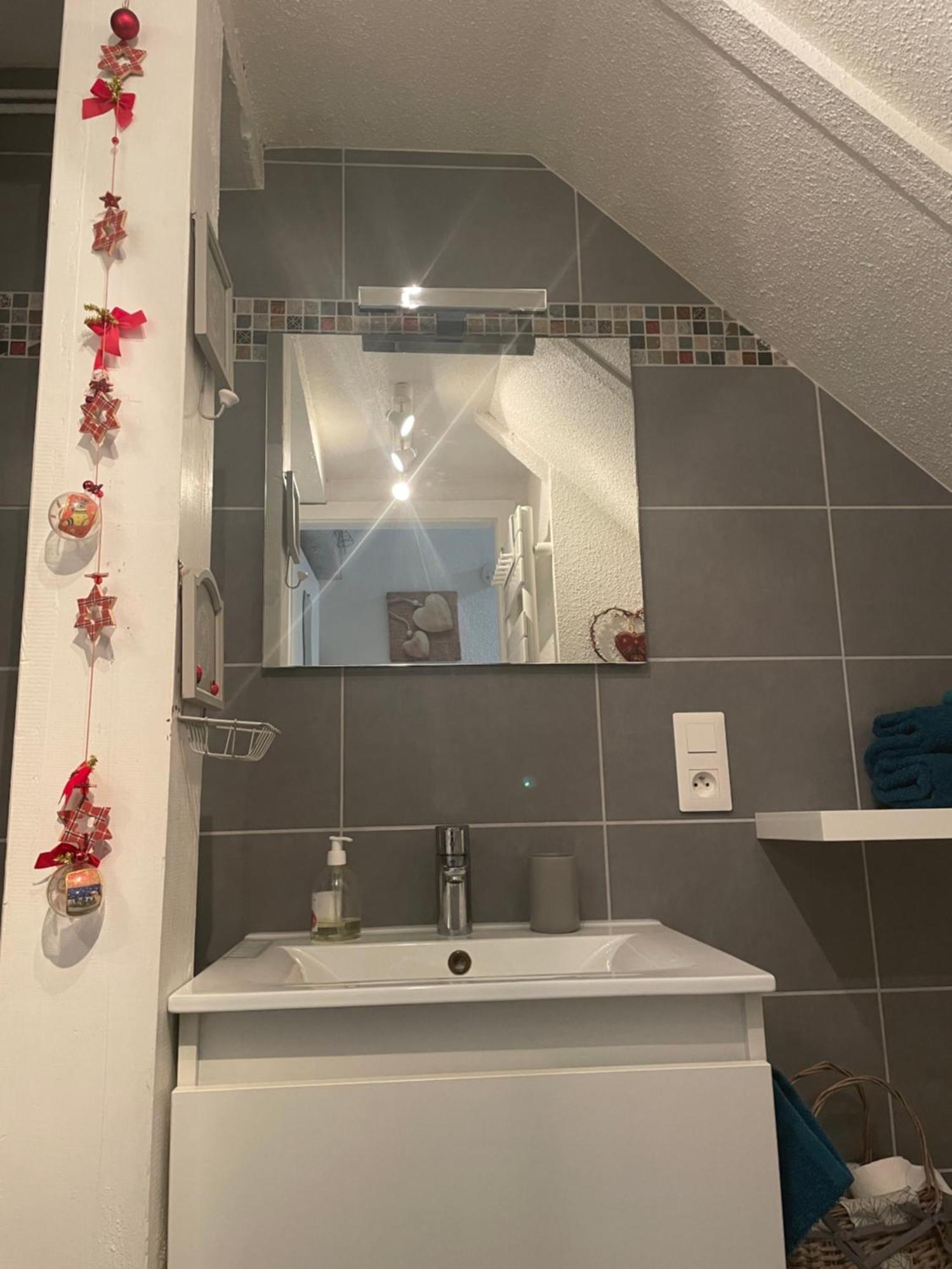 Aux Petits Coeurs De Colmar Petite Venise Daire Dış mekan fotoğraf